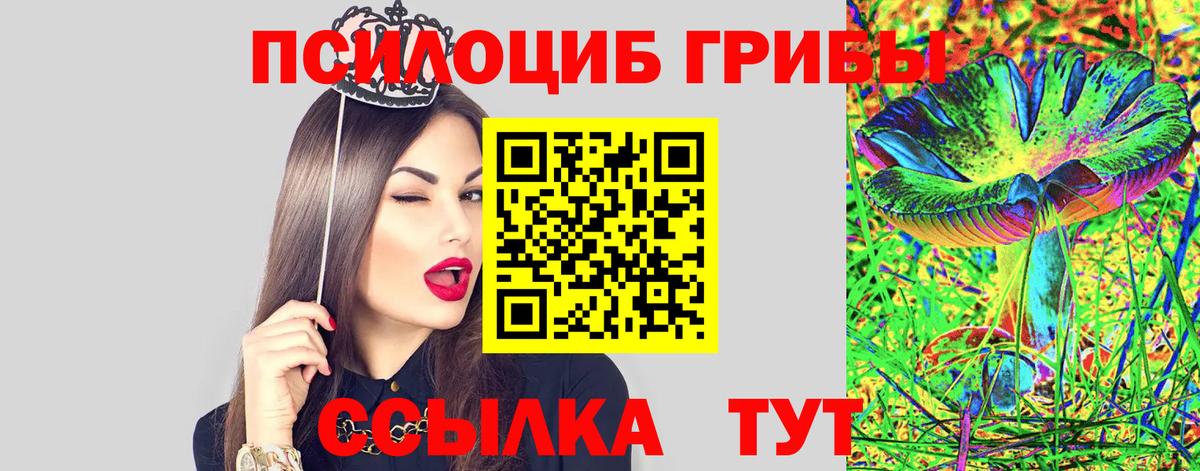 Галлюциногенные грибы прущие грибы  Вход с VPN  Саров 