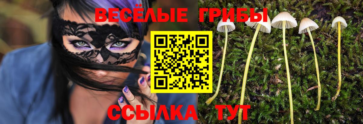 Псилоцибиновые грибы Magic Shrooms Саров